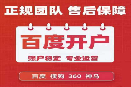某某sem代运营公司成功案例：提高转化率